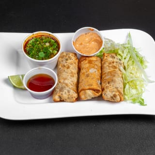BIRRIA EGGROLL (4)